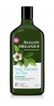 Шампунь Авалон Органикс | 325 мл с маслом чайного дерева | Scalp Treatment Shampoo